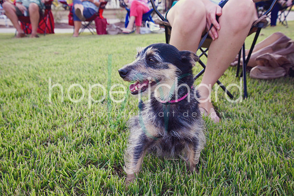 DSC_1533 copy