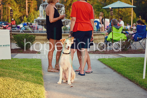 DSC_1556 copy