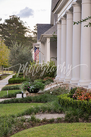 DSC_0186 (1)