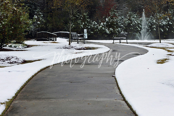 IMG_4292 copy