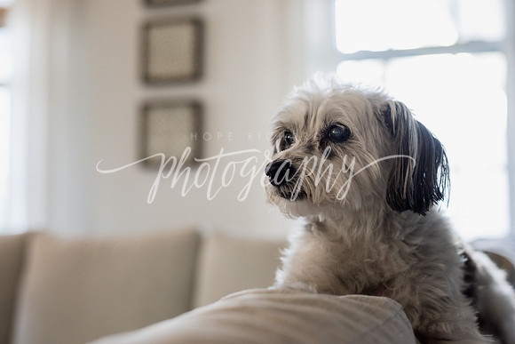 _DSC0525