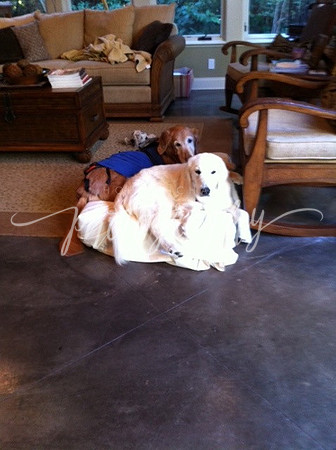 photo-26