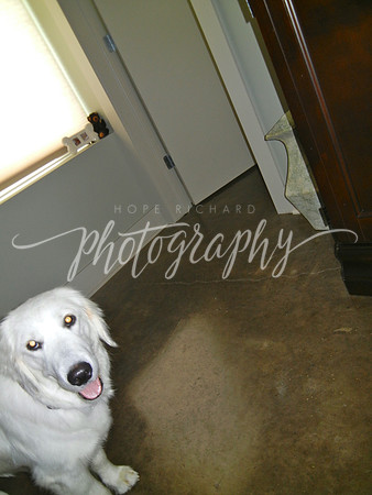 DSCN2217