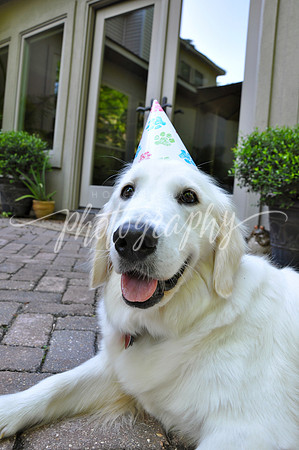 DSC_0248