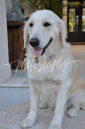 DSC_0285 (2)