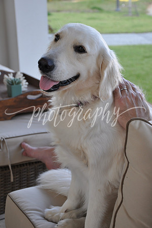 DSC_0273 (1)
