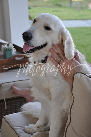 DSC_0272 (3)