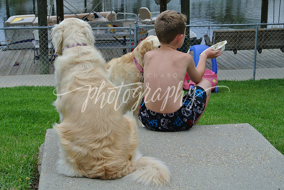 DSC_6570 (1)