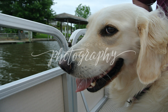 DSC_6518 (1)