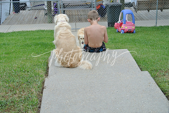 DSC_6567 (1)