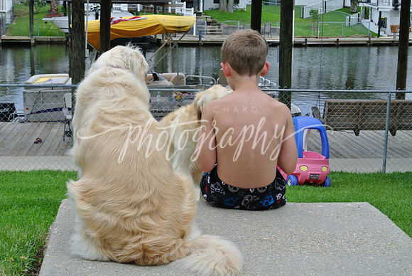 DSC_6569 (1)