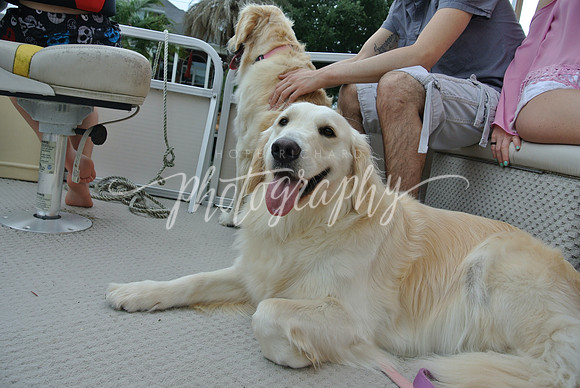DSC_6508 (1)