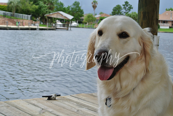 DSC_6438 (1)