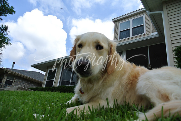 DSC_6331 (1)