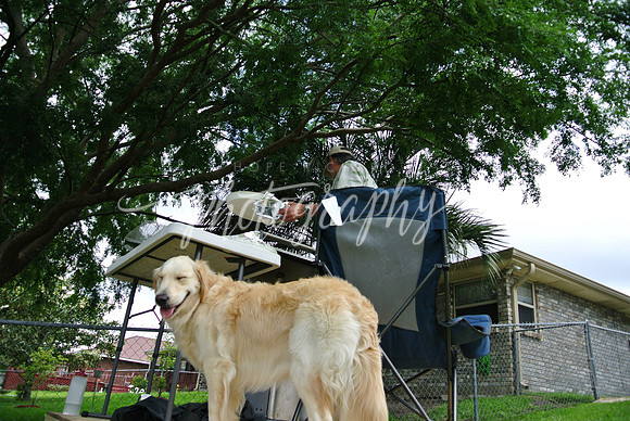 DSC_6347 (1)