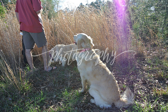 DSC_5887 (1)