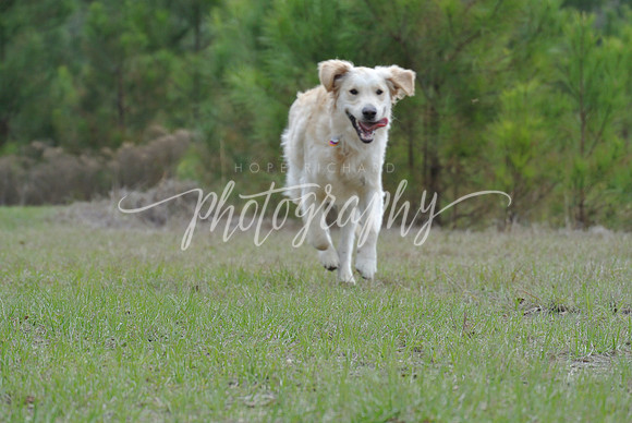 DSC_5580 (1)