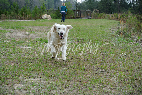 DSC_5560 (1)