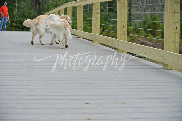 DSC_5553 (1)