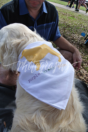 DSC_5396 (1)