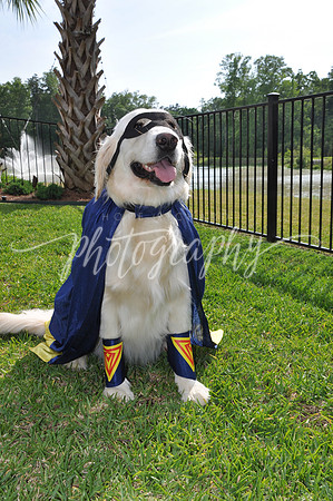 DSC_7688