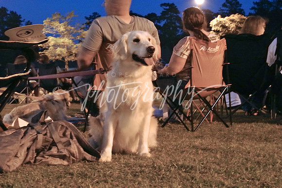 DSC_6229 (1)