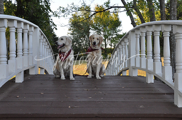DSC_0776 (1)