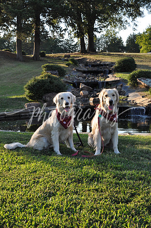 DSC_0756 (1)