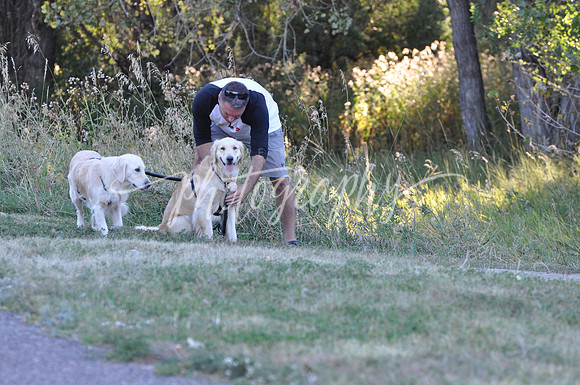 DSC_0681 (2)