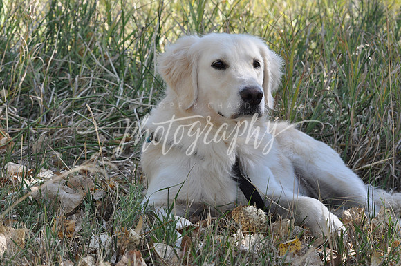 DSC_0451 (2)