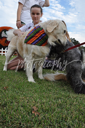 DSC_0438 (3)