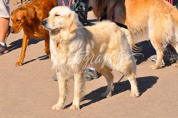 DSC_0363 (1)