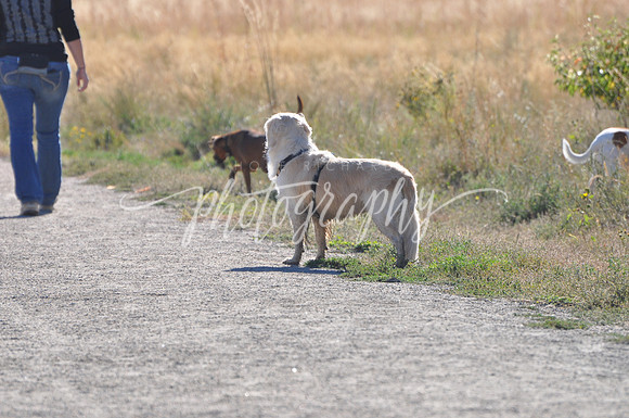 DSC_0292 (1)