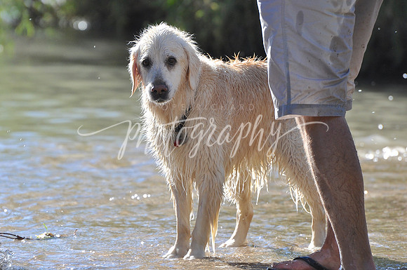 DSC_0246 (2)