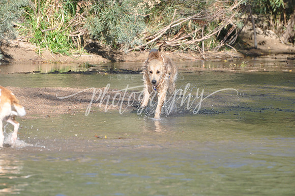 DSC_0091 (1)