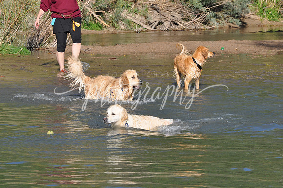 DSC_0095 (2)