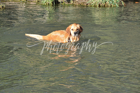 DSC_0021 (2)