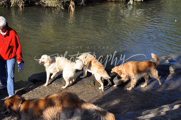 DSC_0017 (3)