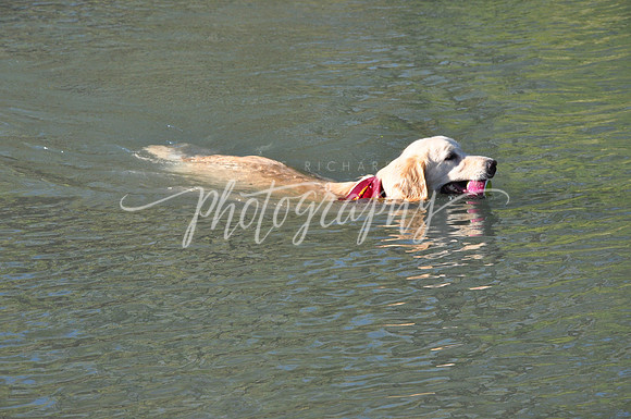 DSC_0019 (2)