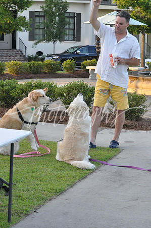 DSC_0005 (1)