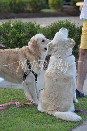 DSC_0006 (1)