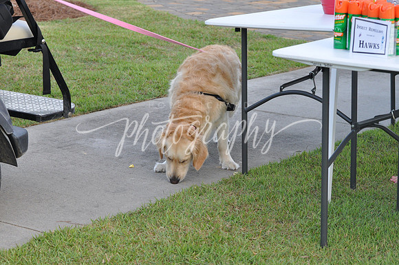 DSC_0002 (1)