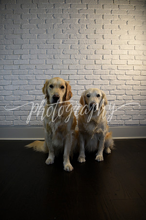 _DSC6336