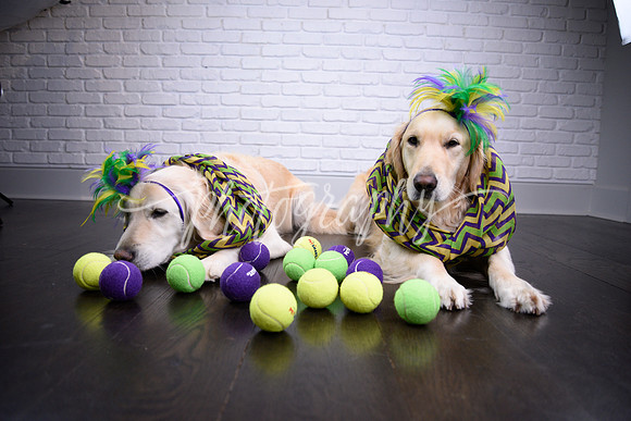 _DSC7394
