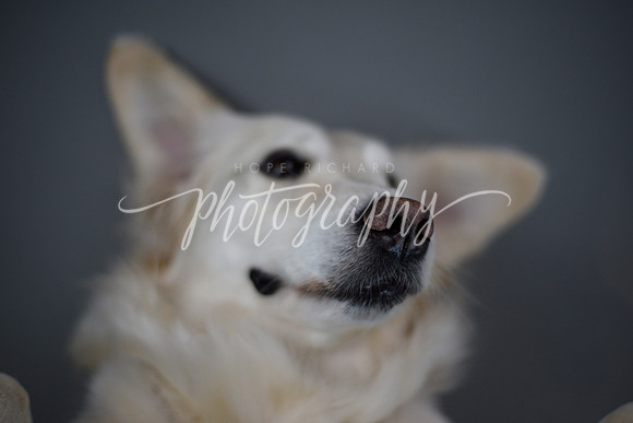 _DSC7610