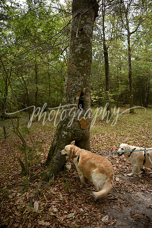 _DSC7909