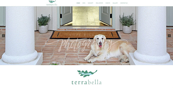 TB Home Page Lala