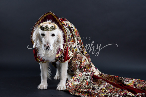 _DSC3499