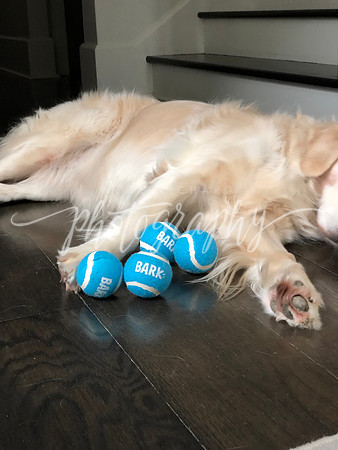 IMG_3043