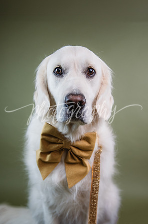 _DSC5517-Edit